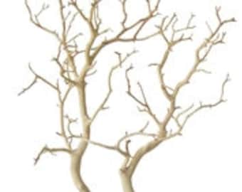 Sandblasted Manzanita Branches - 24" tall, 8 pieces (Shipping Included!)