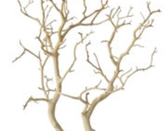 Sandblasted Manzanita Branches - 24 inches tall, 2 pieces