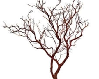 Natural Red Manzanita Branches - 30 inches tall