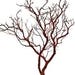 see more listings in the Natural Red Manzanita section