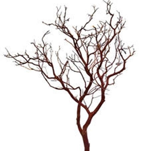 Natural Red Manzanita Branch/Tree - 30" tall