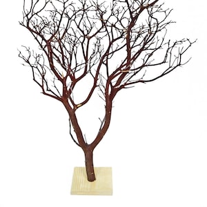 Natural Red Manzanita Branch w/flat base, 24" tall