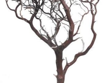 Natural Red Manzanita Branches, 36" Tall