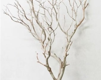 Sandblasted Manzanita Branches, 36" tall