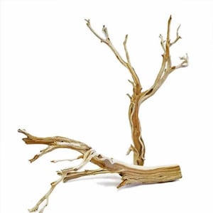 Sandblasted Ghostwood (California Driftwood), 24"