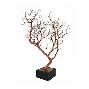 Natural Red Manzanita Branch/Tree, 24 inches tall with base, various colors