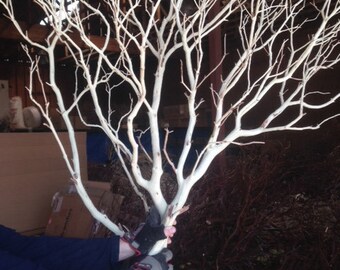 Tree Branch Decor Etsy