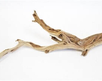 Sandblasted Ghostwood (California Driftwood), 10-12", 2 Pieces