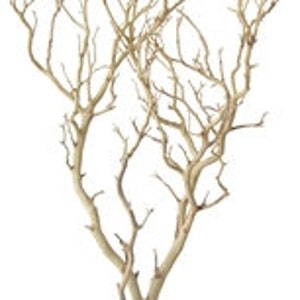 Sandblasted Manzanita Branches - 30" tall, 2 pieces