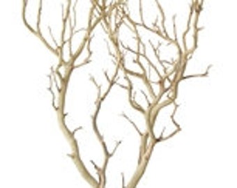 Sandblasted Manzanita Branches - 30 inches tall, 2 pieces