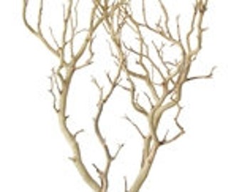 Sandblasted Manzanita Branches - 30" tall, 2 pieces