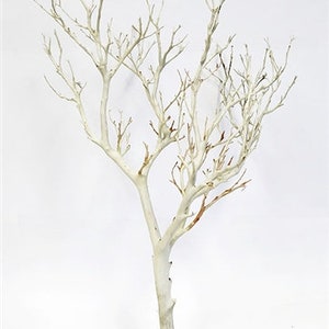 Sandblasted Manzanita Branch/Tree, 18" tall