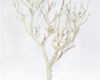 Sandblasted Manzanita Branch/Tree, 18" tall