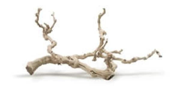 sandblasted grapewood 24 etsy