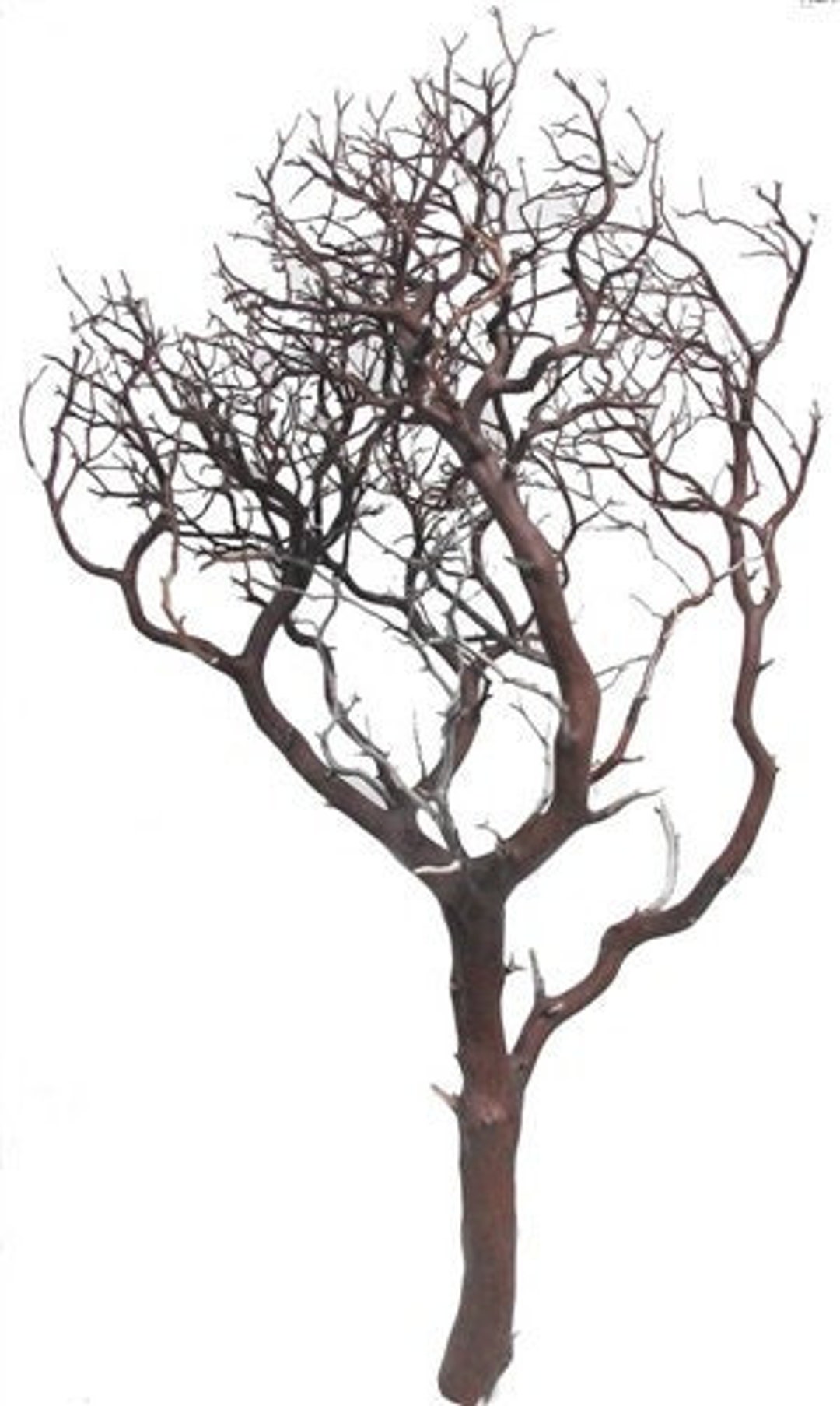 SALE Natural Red Manzanita Branches, 36 Tall Etsy