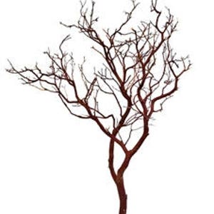 Natural Red Manzanita Branch/Tree, 30" tall, 2 pieces