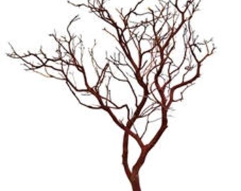 Natural Red Manzanita Branch/Tree, 30" tall, 2 pieces