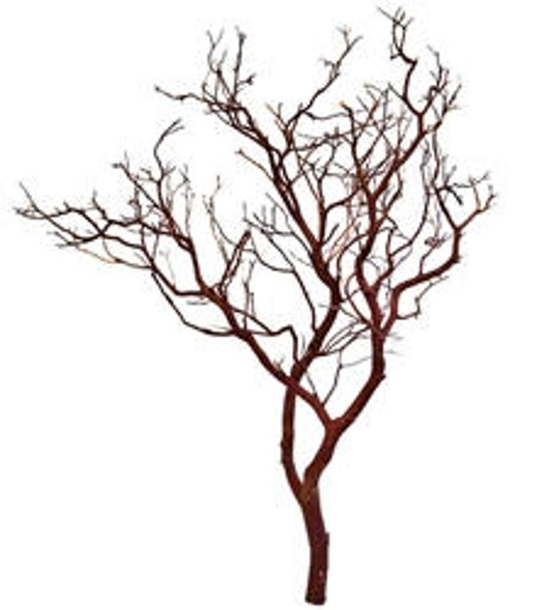 Natural Red Manzanita Branch/tree 30 Inches Tall 2 Pieces Etsy