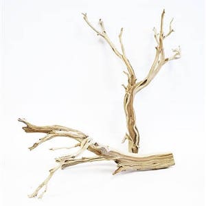 Sandblasted Ghostwood (California Driftwood), 14"-16"