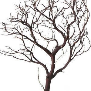 Natural Red Manzanita Branch/Tree, 18" tall