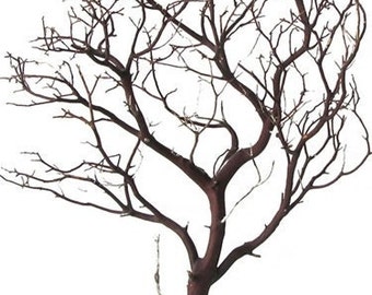 Natural Red Manzanita Branch/Tree, 18" tall