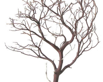 Natural Red Manzanita Branch/Tree, 24" tall