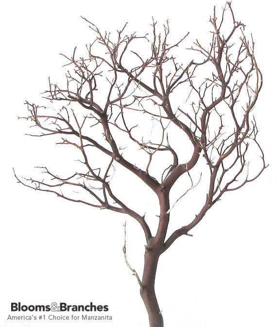  Manzanita Branches Tree Centerpieces for Tables - 30 Black  Tree Branches for Decoration, Tall Decorative Tree Natural, Fake Bare Tree,  Ornament Tree Display Birch Tree for Christmas, Birthday, 2 Pcs 