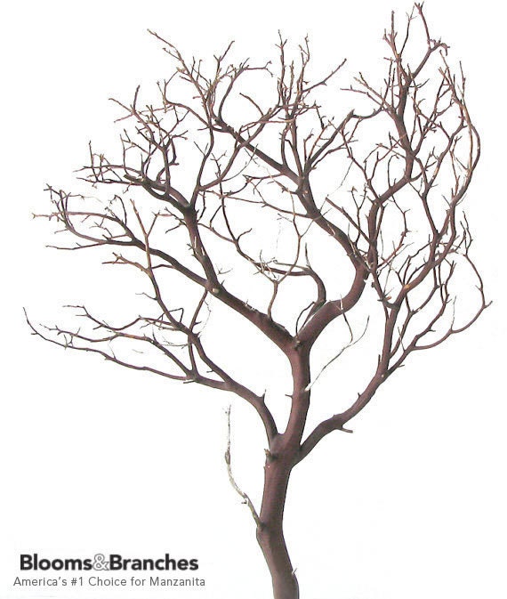  Manzanita Branches Tree Centerpieces for Tables - 30 White  Tree Branches for Decoration, Tall Decorative Tree Natural, Fake Bare Tree,  Ornament Tree Display Birch Tree for Christmas, Birthday, 2 Pcs 