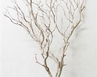 Sandblasted Manzanita, 36" tall (case of 3, shipping included!)