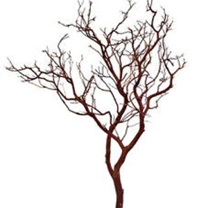 Natural Red Manzanita Branches - 30" tall, 6 pieces (Shipping Included!)