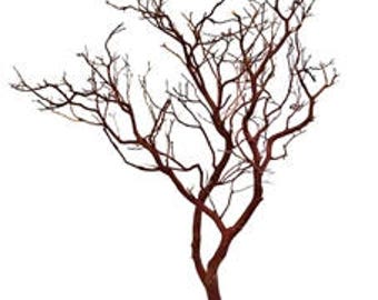 Natural Red Manzanita Branches - 30 inches tall, 8 pieces