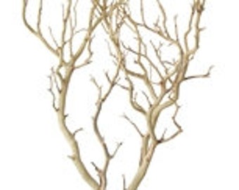 Sandblasted Manzanita Branches - 30" tall, 6 pieces (Shipping Included!)