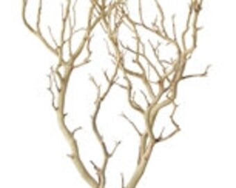 Sandblasted Manzanita Branches - 30 inches tall, 8 pieces