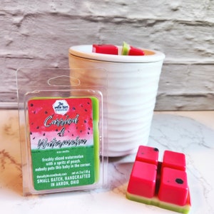 carried a watermelon - watermelon wax melts - dirty dancing inspired - the salty hive home and body