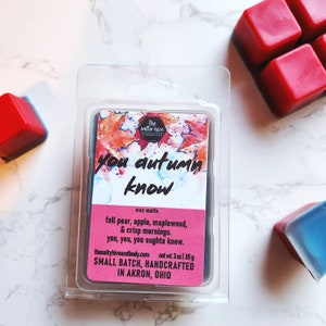 You Autumn Know Wax Melts - appels en peren wax melts - grappige herfstkaars - appelherfst