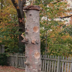 May include: A rustic bird feeder crafted from a section of a tree trunk. It features two circular openings, a copper wire hanger, and a natural bark top and bottom. The feeder is cylindrical and stands approximately 12 inches tall.