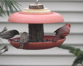 Dome covered hanging flythru  tray  bird feeder