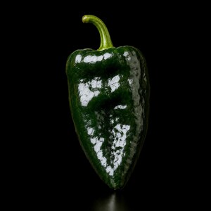 May include: A single poblano pepper with a dark green, glossy, and wrinkled skin. The pepper features a curved light green stem at the top and tapers to a point at the bottom, set against a solid black background to highlight its texture.