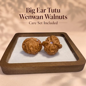 May include: Two brown Wenwan walnuts with textured surfaces, one featuring two small embedded crystals and the other a single square crystal, displayed on a square wooden tray. Text above reads Big Ear Tutu Wenwan Walnuts Care Set Included.