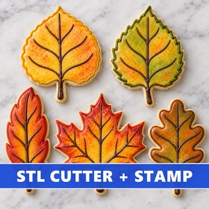 May include: Five leaf-shaped cookies decorated with icing in yellow, green, orange, and red autumn colors, featuring dark brown piped veins. A blue banner across the bottom displays the white text STL CUTTER + STAMP in capital letters.
