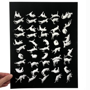 Kittens Sleeping Print | Hand Screenprint, Halftone Art (11x14)