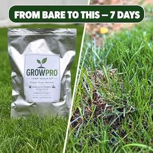 May include: A silver foil pouch of GrowPro lawn repair kit with a white label featuring a plant icon and the text FROM BARE TO THIS – 7 DAYS, GROWPRO LAWN REPAIR KIT, Repair. Grow. Restore., FAMILY & PET FRIENDLY, COVERS UP TO 15 SQ. FT., NET WT. 1 LB 15 OZ.