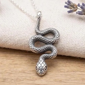 Può includere: Una collana in metallo color argento con un ciondolo a forma di serpente avvolto con texture a scaglie dettagliate. Il ciondolo è sospeso a una sottile catena color argento e presenta un design realistico di serpente con occhi e testa definiti.