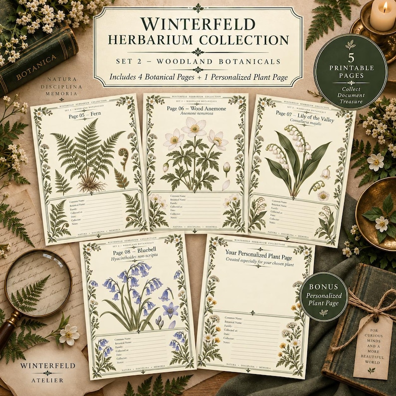 May include: A set of five printable botanical pages titled Winterfeld Herbarium Collection Set 2 Woodland Botanicals. The pages feature illustrations of a fern, wood anemone, lily of the valley, bluebell, and a personalized plant page.