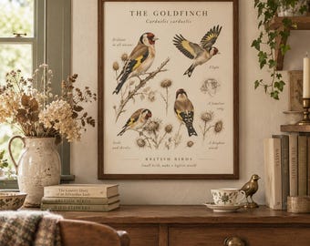 Peut inclure: Une affiche encadrée rectangulaire intitulée THE GOLDFINCH, présentant des illustrations scientifiques de chardonnerets dans diverses poses parmi des chardons. L'affiche inclut le texte Carduelis carduelis, British Birds et Small birds make a lighter world.