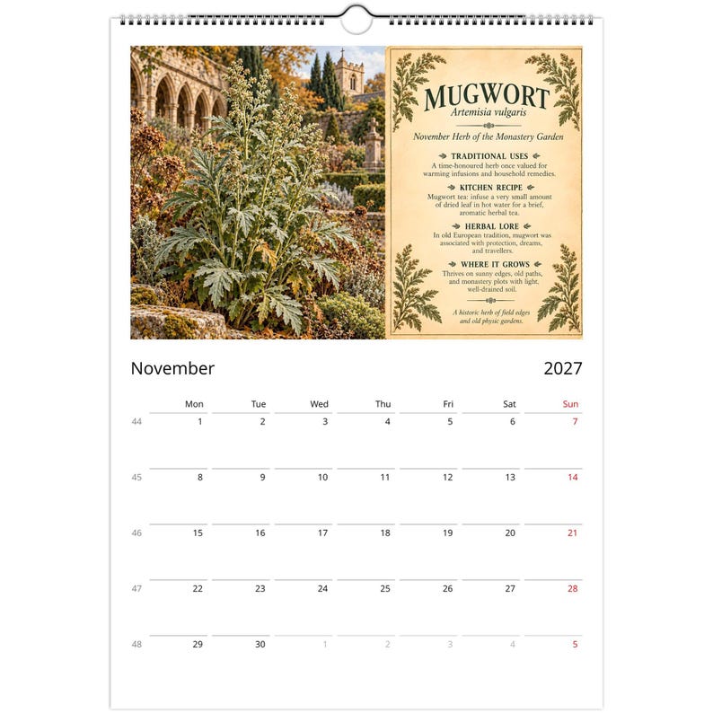 2027 Herbalist Wall Calendar, English Monastery Garden Herbs, A3 Botanical Calendar, Vintage Herbarium Gift image 2