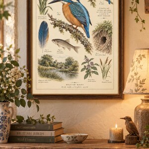 May include: A framed vintage-style educational poster titled The Kingfisher, featuring detailed illustrations of the bird, a fish, a feather, a river landscape, and various plants with descriptive text labels in a cream-colored background.
