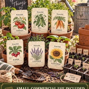 May include: A collection of six rectangular seed packets featuring botanical illustrations of tomato, pea, carrot, radish, lavender, and sunflower. Each packet displays the Winterfeld Garden Collection branding, plant names, and descriptive text.