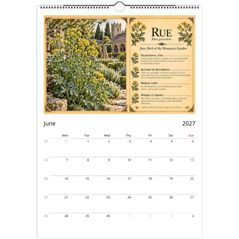 2027 Herbalist Wall Calendar, English Monastery Garden Herbs, A3 Botanical Calendar, Vintage Herbarium Gift image 5