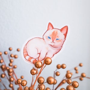 May include: A white and orange cat sticker with blue eyes, sitting on a branch with gold-colored berries. The sticker has the text "TOUCANANDSKIES" on the bottom.